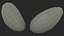 Tas de haricots romains
