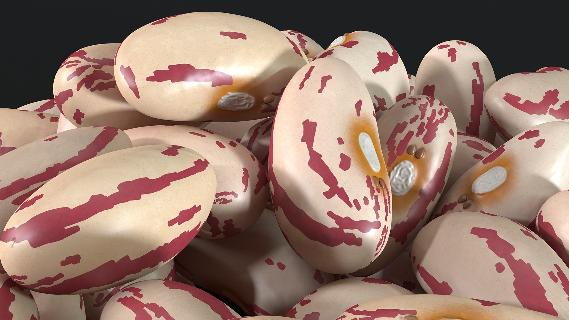 pile roman beans 3D https://p.turbosquid.com/ts-thumb/Ls/rHSGX4/7cxd82k2/pileofromanbeans3dsmodel004/jpg/1588279496/1920x1080/fit_q87/aee91fd9a9cba6694a5b489d5f5cc844849c5cfe/pileofromanbeans3dsmodel004.jpg