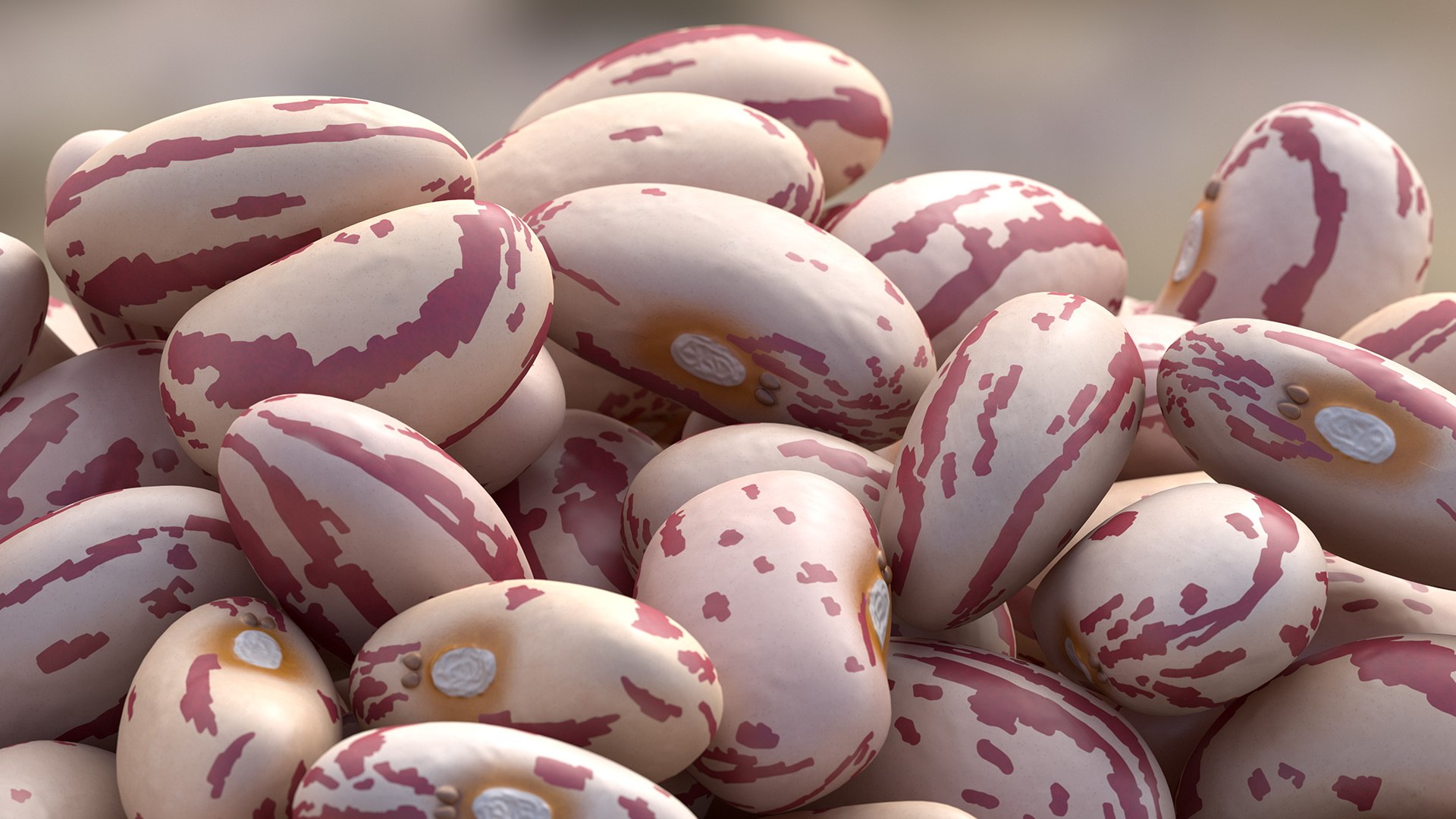 pile roman beans 3D https://p.turbosquid.com/ts-thumb/Ls/rHSGX4/CmiH7Noh/pileofromanbeans3dsmodel003/jpg/1588279489/1920x1080/fit_q87/3f11c54a85ab5af91309159ea7a601c7002db948/pileofromanbeans3dsmodel003.jpg