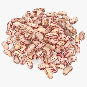 pile roman beans 3D