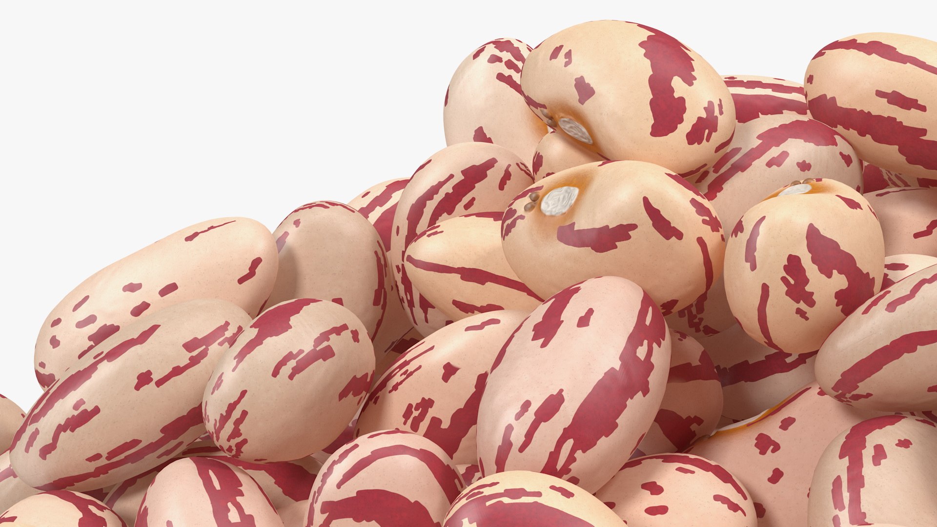 pile roman beans 3D https://p.turbosquid.com/ts-thumb/Ls/rHSGX4/P3RtgjjG/pileofromanbeans3dsmodel011/jpg/1588279547/1920x1080/fit_q87/313118a317ea312f29d1f5e28a82232b5df3c26a/pileofromanbeans3dsmodel011.jpg