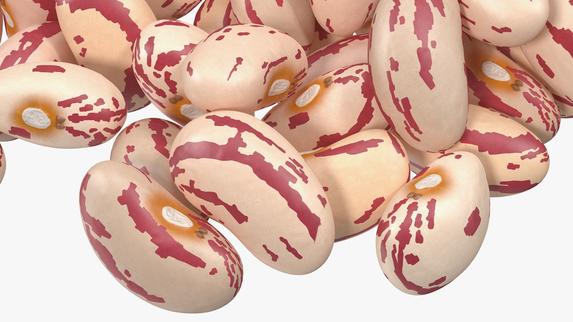pile roman beans 3D https://p.turbosquid.com/ts-thumb/Ls/rHSGX4/dXcBXq9Y/pileofromanbeans3dsmodel013/jpg/1588279560/1920x1080/fit_q87/cfd45f06d635c2c5f52d445314d7f242abf98fb7/pileofromanbeans3dsmodel013.jpg