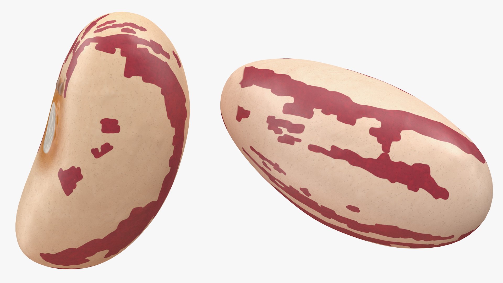 pile roman beans 3D https://p.turbosquid.com/ts-thumb/Ls/rHSGX4/zxSsVAFQ/pileofromanbeans3dsmodel015/jpg/1588279574/1920x1080/fit_q87/886170b74dc5f1e121484c5dba4bf90c7ba8ae27/pileofromanbeans3dsmodel015.jpg
