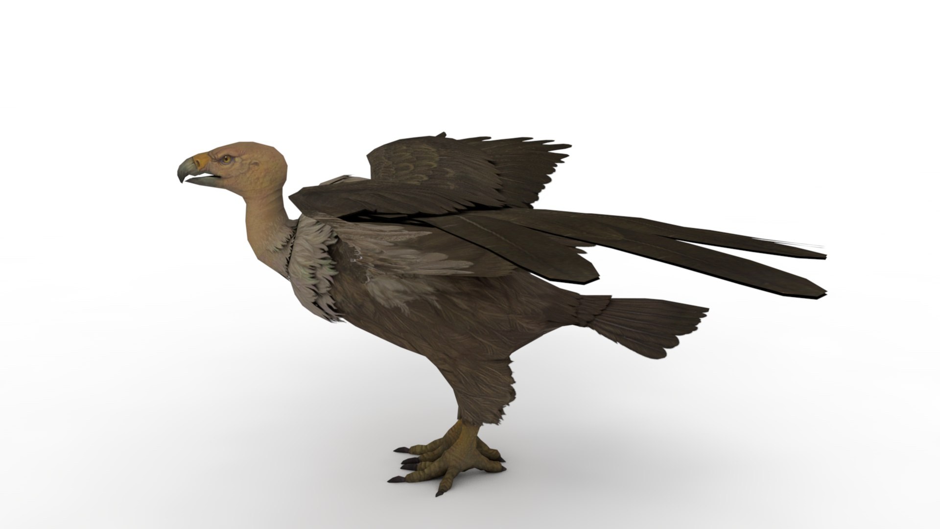 Eagle 3D model https://p.turbosquid.com/ts-thumb/Ls/xTJXKg/Jc/dfs0001/jpg/1662743150/1920x1080/fit_q87/bf531bd88436d5d539847b4cc54f1824a8b90a76/dfs0001.jpg