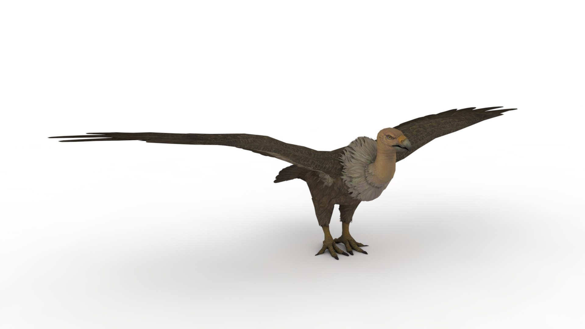 Eagle 3D model https://p.turbosquid.com/ts-thumb/Ls/xTJXKg/av/dfs0010/jpg/1662743155/1920x1080/fit_q87/a05c7c880936a588db81681343c5f3651f449a3c/dfs0010.jpg