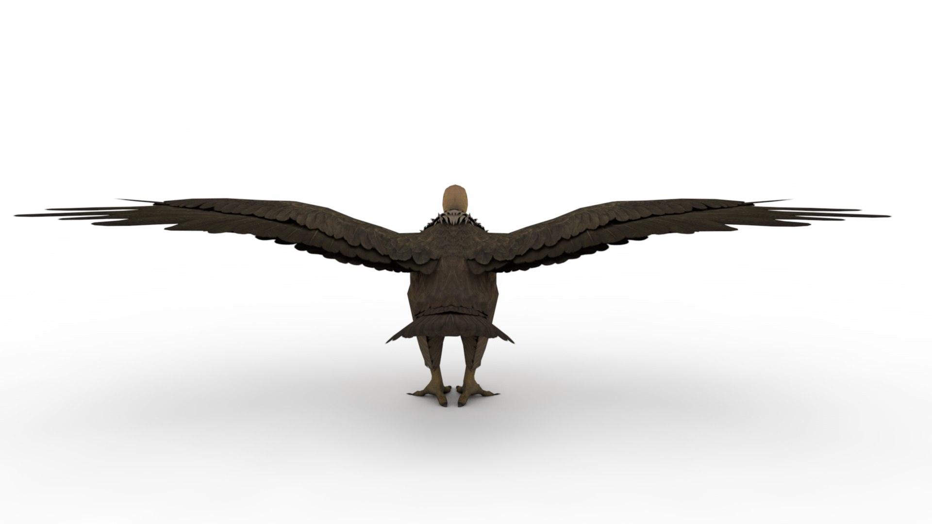 Eagle 3D model https://p.turbosquid.com/ts-thumb/Ls/xTJXKg/kw/dfs0002/jpg/1662743150/1920x1080/fit_q87/6616de88c7555d6a4d6bd789227117bb384a46a0/dfs0002.jpg