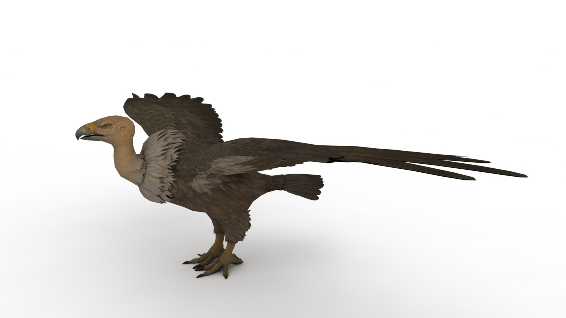 Eagle 3D model https://p.turbosquid.com/ts-thumb/Ls/xTJXKg/oK/dfs/jpg/1662743150/1920x1080/fit_q87/4bb40979d59f58308f6f7256a0595413a4b23095/dfs.jpg