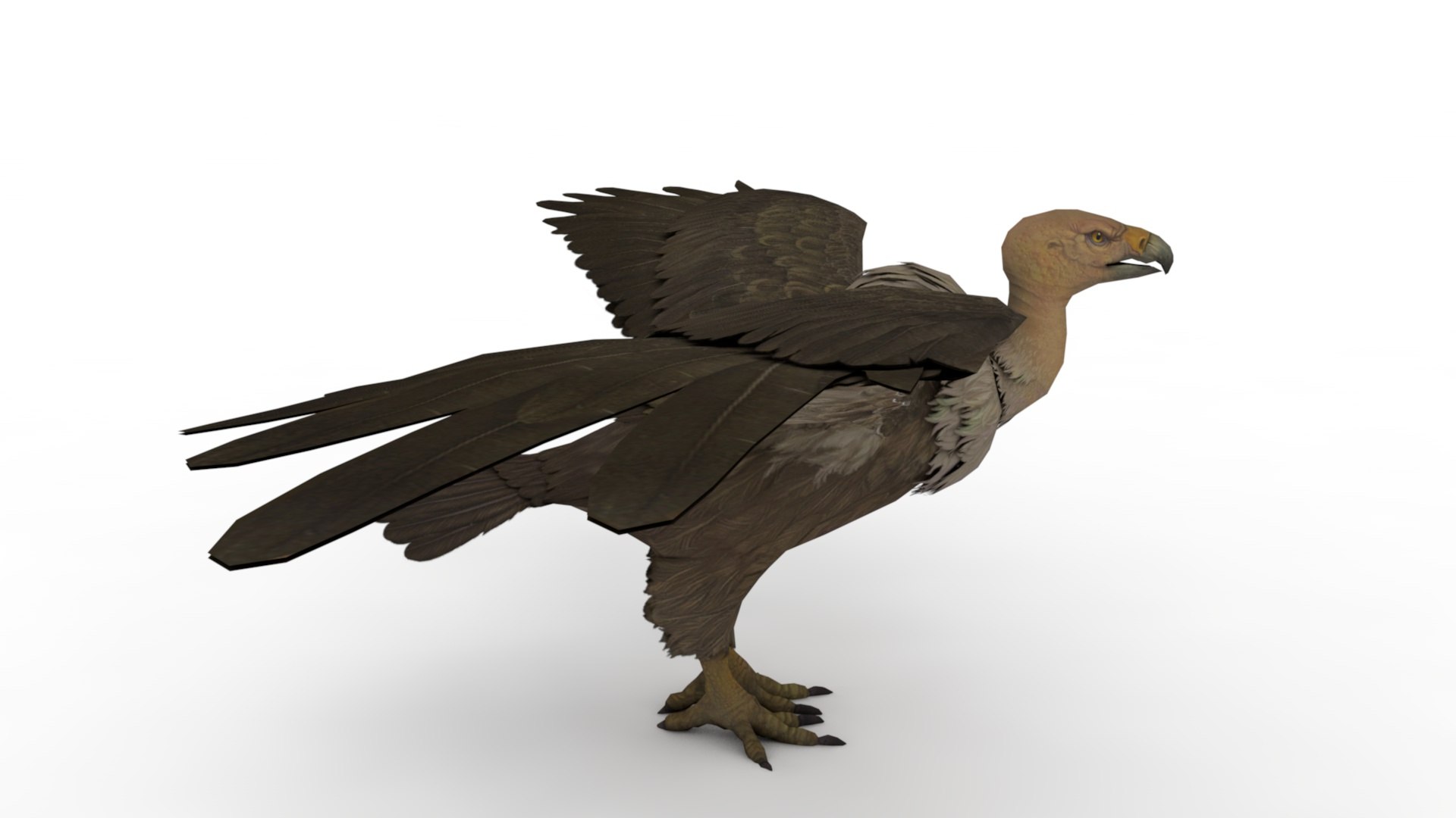 Eagle 3D model https://p.turbosquid.com/ts-thumb/Ls/xTJXKg/sI/dfs0004/jpg/1662743153/1920x1080/fit_q87/4515416a1d19e0bb857d38681202c64247827f9b/dfs0004.jpg