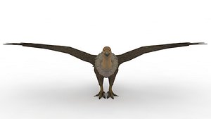 Eagle