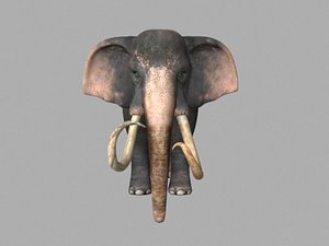 animations elephant 3D model