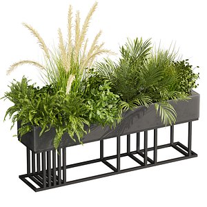 3D plant vol 1006 - box - palm - fern - bush - grass