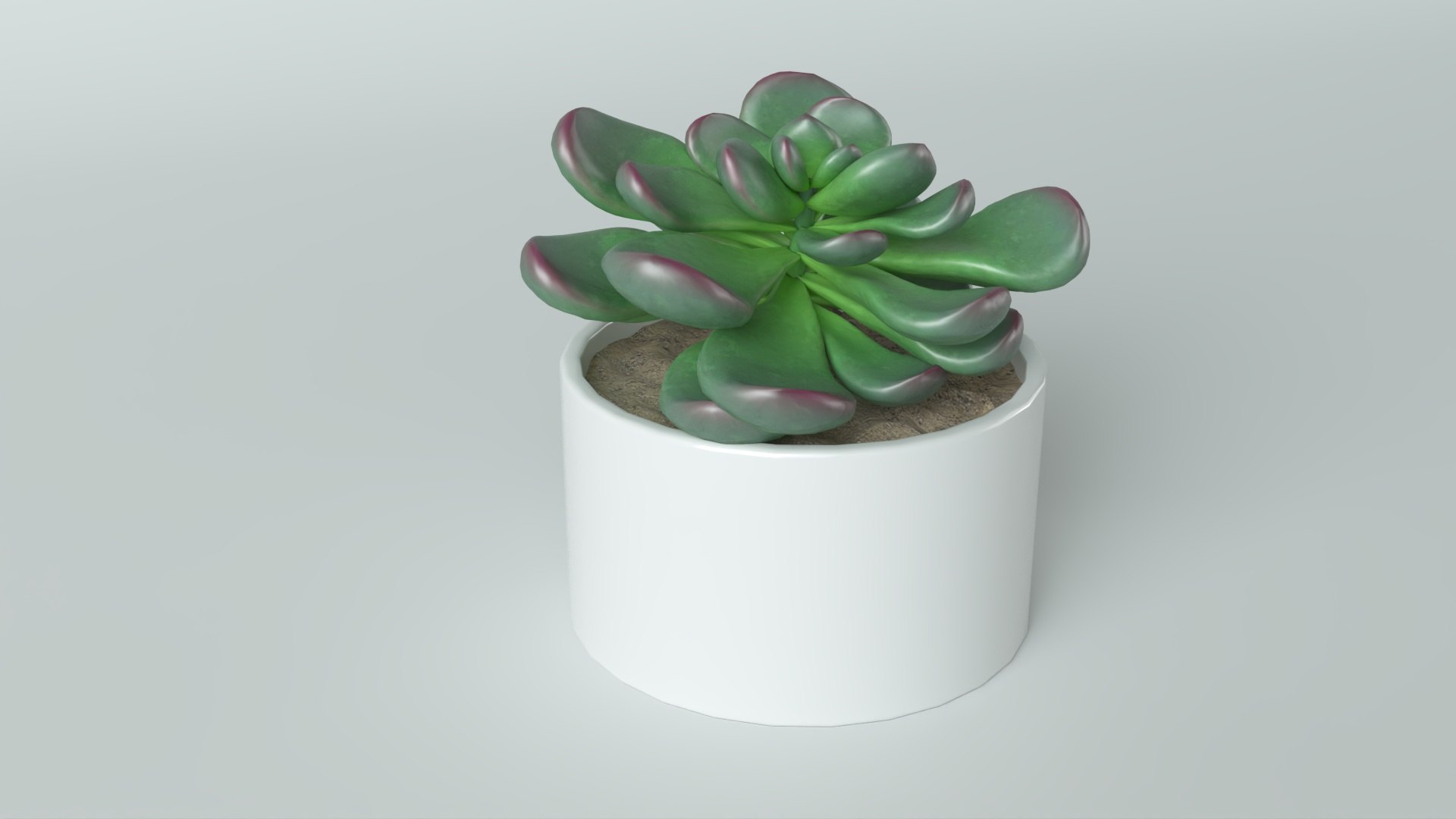 3D model Succulent in pot 2 Low-poly 3D model https://p.turbosquid.com/ts-thumb/Lt/K8jFvf/8x/6/jpg/1735201247/1920x1080/fit_q87/4c5fbbfd49b1bde02971e94d99f77b60cb6a5e80/6.jpg