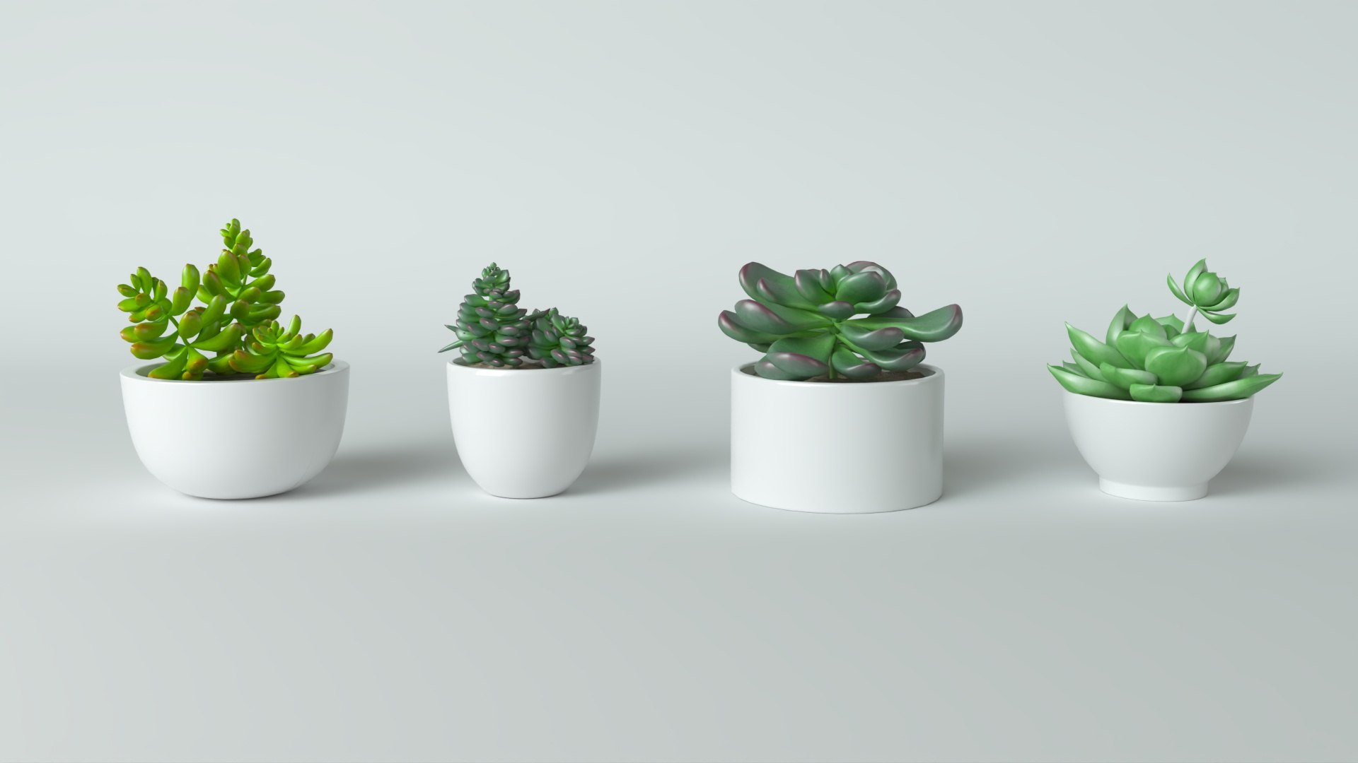 3D model Succulent in pot 2 Low-poly 3D model https://p.turbosquid.com/ts-thumb/Lt/K8jFvf/bB/2/jpg/1735201239/1920x1080/fit_q87/07141d7edc63c9fbe396925647c035733de8f5c8/2.jpg