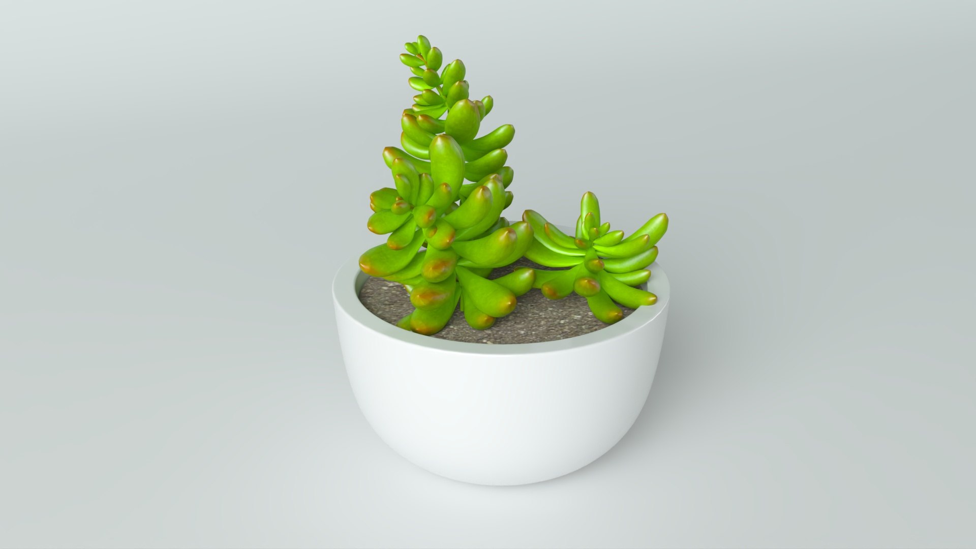 3D model Succulent in pot 2 Low-poly 3D model https://p.turbosquid.com/ts-thumb/Lt/K8jFvf/hK/4/jpg/1735201246/1920x1080/fit_q87/dbd01d1b7c14ff6f3b767a75861740d4cb3ae36e/4.jpg