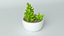Succulente en pot 2 Modèle 3D low-poly