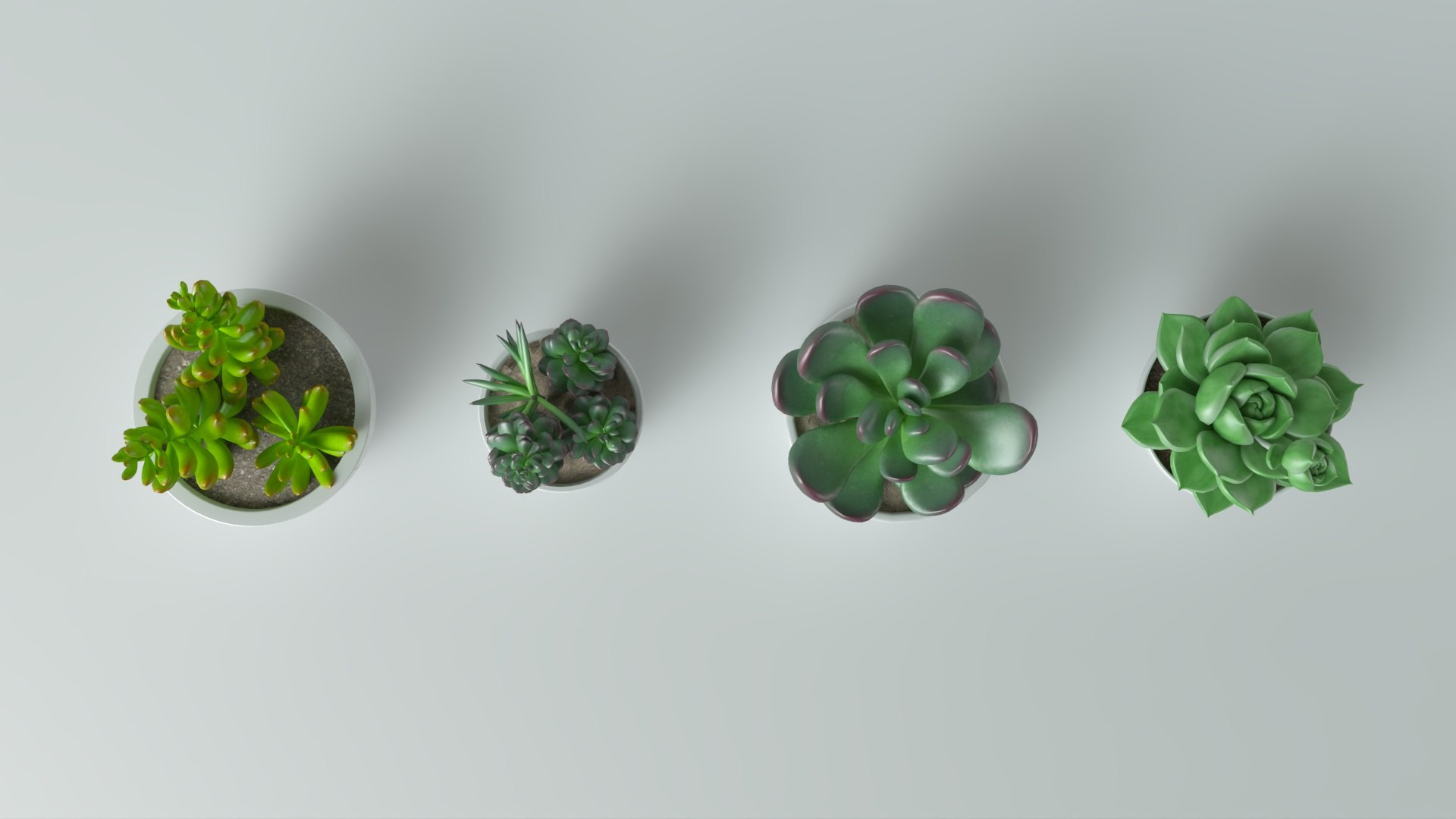 3D model Succulent in pot 2 Low-poly 3D model https://p.turbosquid.com/ts-thumb/Lt/K8jFvf/yT/3/jpg/1735201246/1920x1080/fit_q87/7371f429410e7bf5a6755a1f3a176d6a37f72b37/3.jpg
