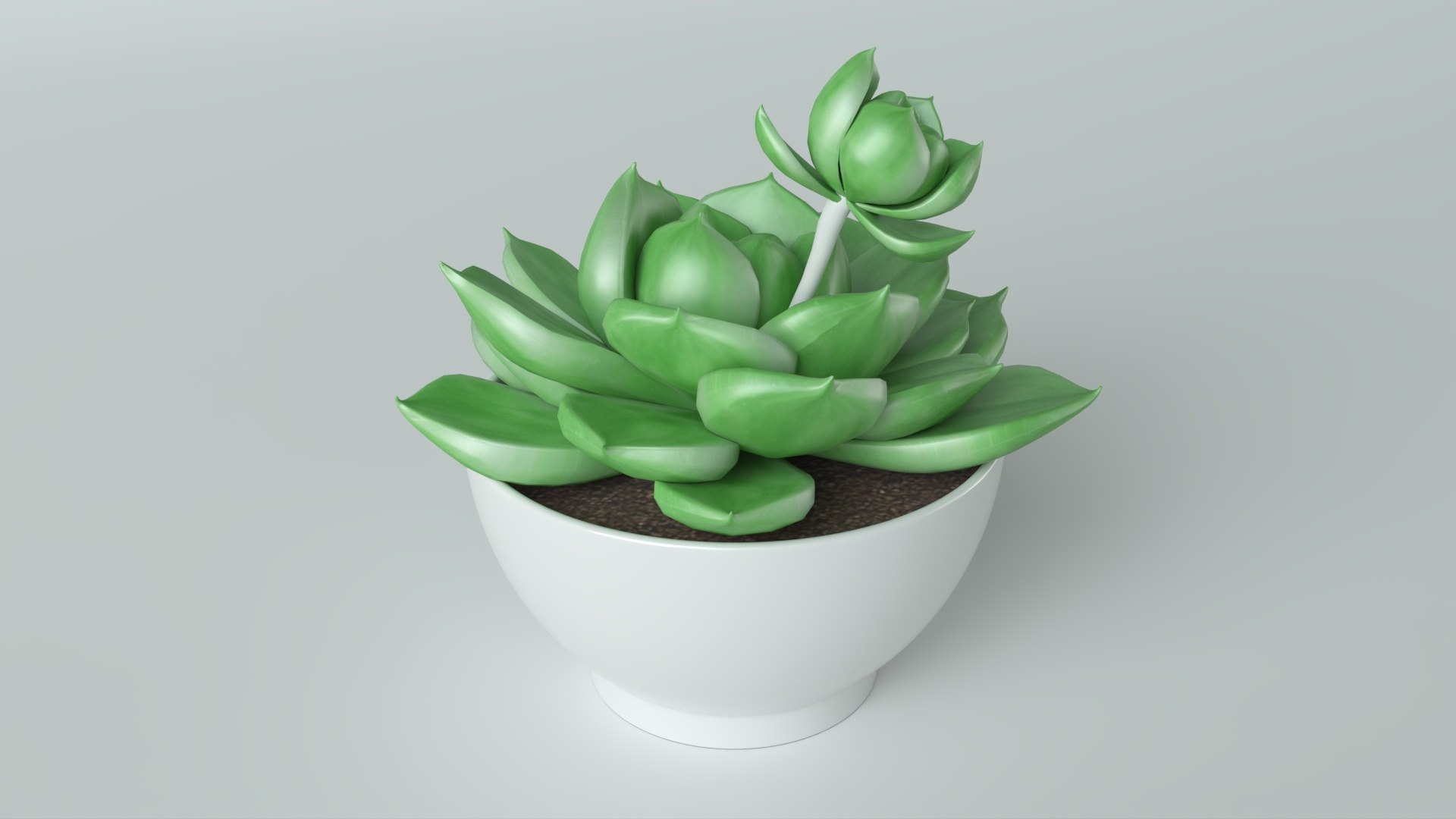 3D model Succulent in pot 2 Low-poly 3D model https://p.turbosquid.com/ts-thumb/Lt/K8jFvf/yw/7/jpg/1735201250/1920x1080/fit_q87/d3a3f4811e3782965bdf53054117bb3e94aa49bc/7.jpg