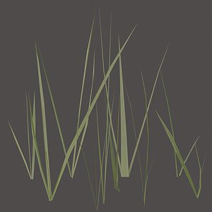 Grass three sections.