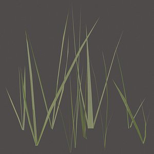 Grass three sections.