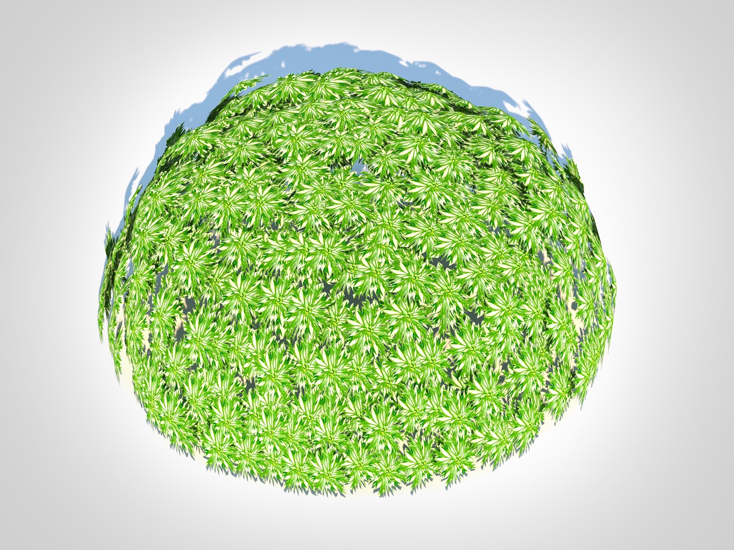 Artemesia schmidtiana - Silvermound 3D model https://p.turbosquid.com/ts-thumb/Lt/RzjDc1/eb/3/jpg/1726059752/1920x1080/fit_q87/c12700059290b566055d828aa9e0b237ae183eb0/3.jpg