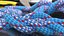 Bowline on a Bight Knot