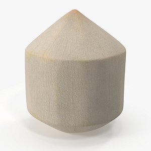 Fresh Young Shelled Coconut