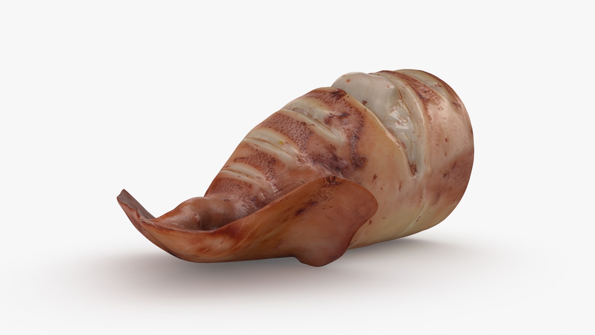 Grilled Squid Half model https://p.turbosquid.com/ts-thumb/Lt/pnEh0x/FL/squidg_half_b0008/jpg/1707995095/1920x1080/fit_q87/ddb865834e6c1976673d757f1caa139aa13357bd/squidg_half_b0008.jpg