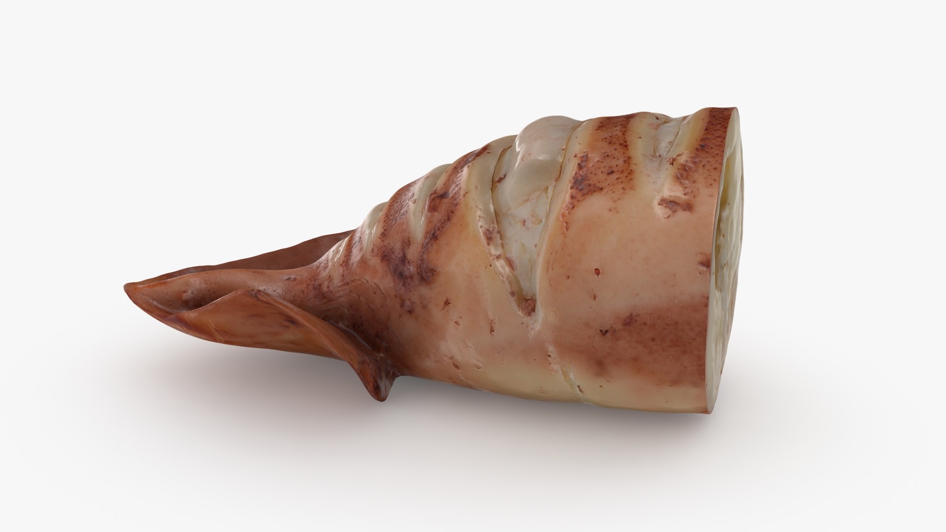 Grilled Squid Half model https://p.turbosquid.com/ts-thumb/Lt/pnEh0x/pu/squidg_half_b0014/jpg/1707995098/1920x1080/fit_q87/b4e89b8f5d495fa7995d51eb987a54f0885d97a0/squidg_half_b0014.jpg