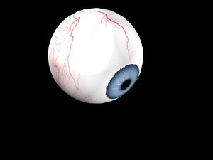 eye