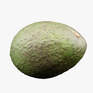 3D model Avocado