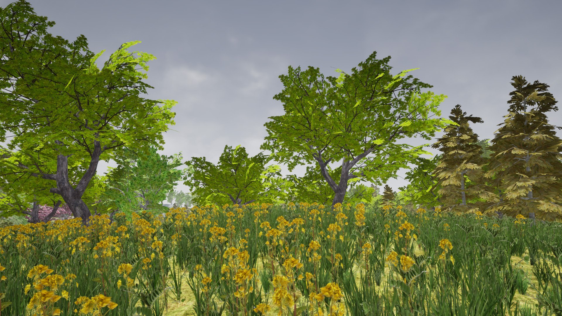 3D Model Asian Nature Assets Pack - TurboSquid 2132908