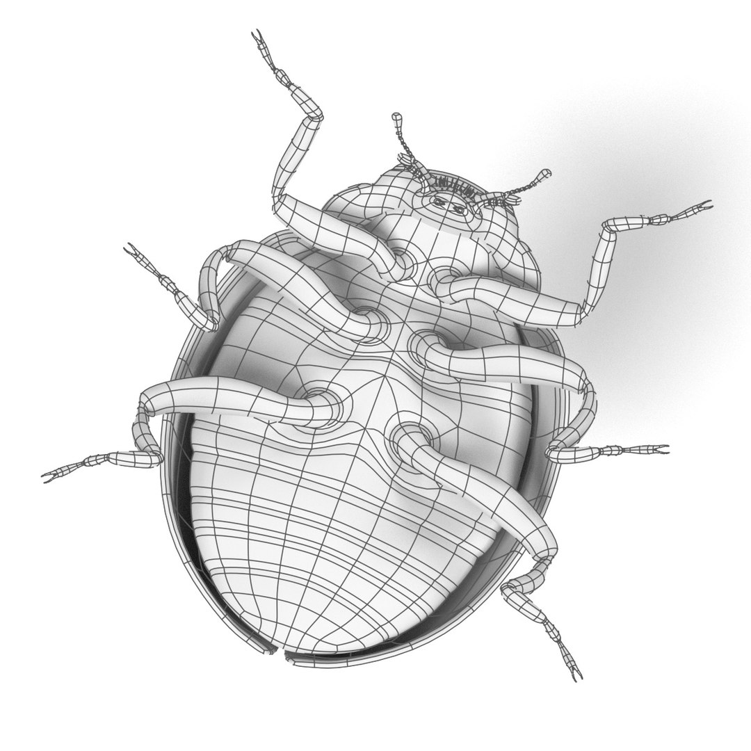 coccinella septempunctata 3d 3ds https://p.turbosquid.com/ts-thumb/Lu/GGLywk/2kvnuCSs/coccinellaseptempunctataw4/jpg/1479131440/1920x1080/fit_q87/db2b76c2ecd1fd02836501373fabbaa9f2e019aa/coccinellaseptempunctataw4.jpg