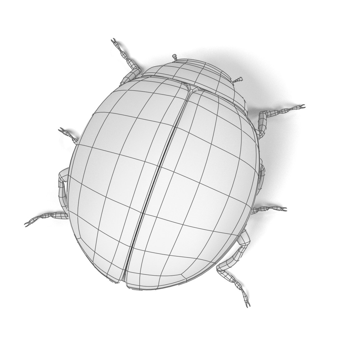 coccinella septempunctata 3d 3ds https://p.turbosquid.com/ts-thumb/Lu/GGLywk/KP6kyzLi/coccinellaseptempunctataw3/jpg/1479131440/1920x1080/fit_q87/a2f0a2a99bd5e5bee5db198b58979704856040b6/coccinellaseptempunctataw3.jpg
