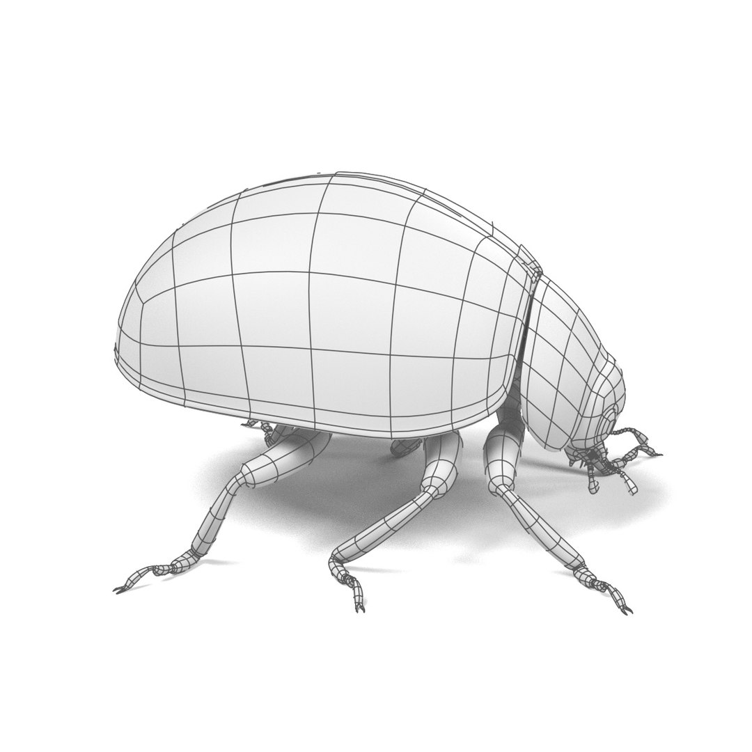 coccinella septempunctata 3d 3ds https://p.turbosquid.com/ts-thumb/Lu/GGLywk/LzcynDEx/coccinellaseptempunctataw2/jpg/1479131440/1920x1080/fit_q87/0275d9cf9e6b5c710f6824f6cbc98bb563af1170/coccinellaseptempunctataw2.jpg