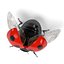 Coccinella Septempunctata