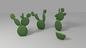 Cactus low-poly