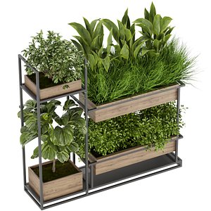 Collection plant vol 296 - indoor - leaf - cinema 4d - blender - 3dmax 3D model