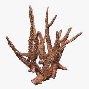 3D model Staghorn Coral Low Poly