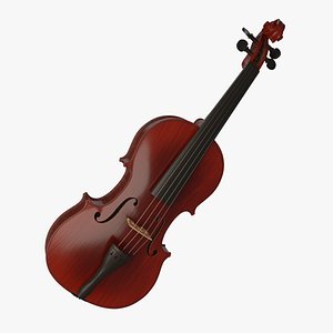 Violin model