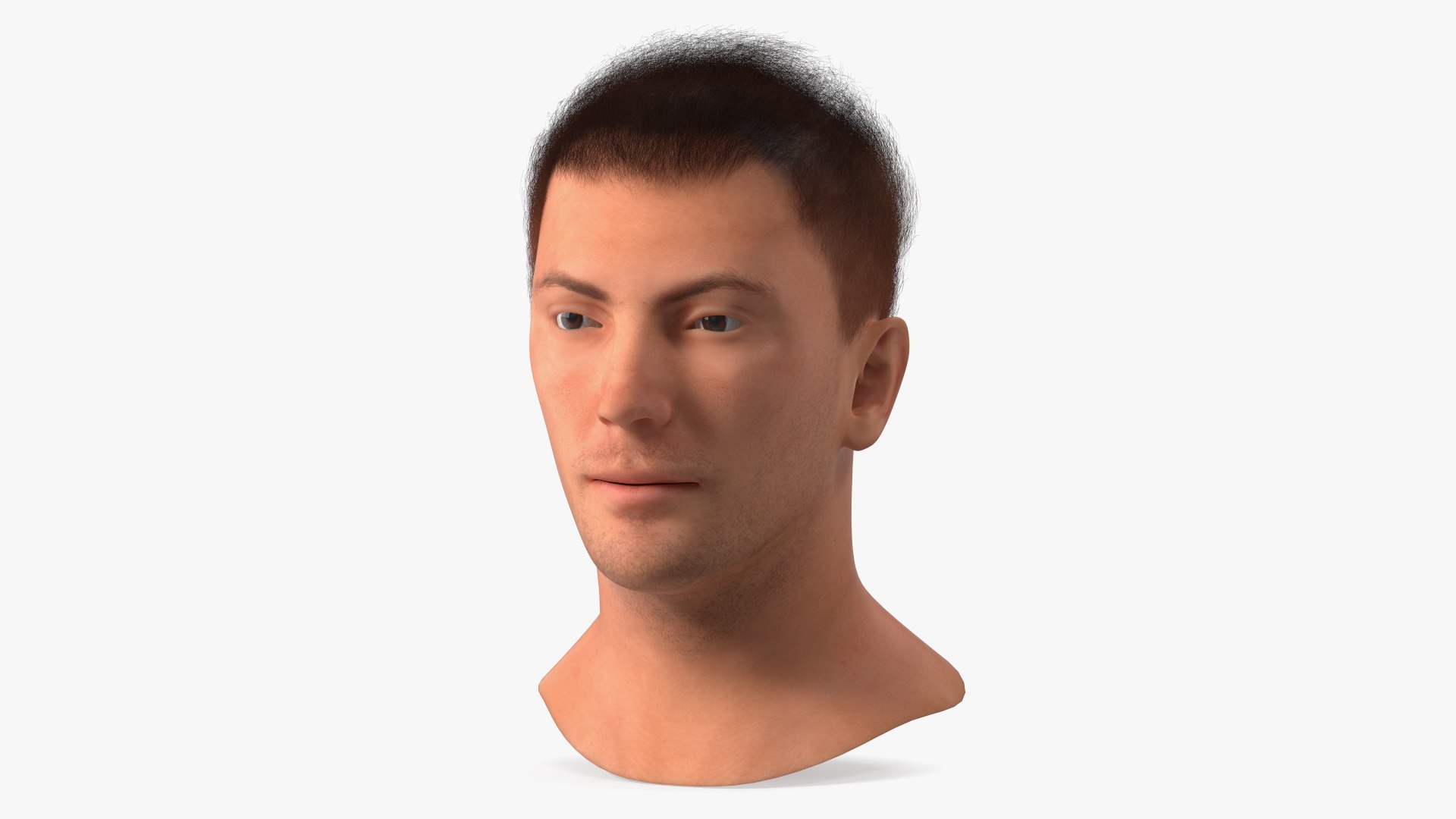 Male Head Caucasian Fur 3D model preview