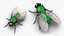 3D model Insect Flies Fur Collection