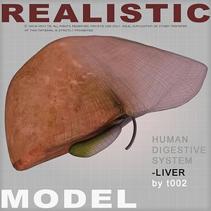 3ds max liver medical digestive