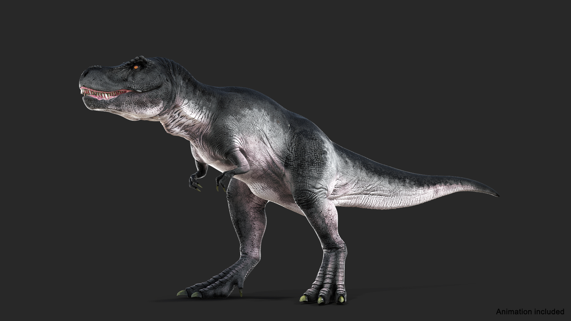 Rigged Dinosaurs Collection 7 for Cinema 4D 3D model https://p.turbosquid.com/ts-thumb/Lv/8lqj5S/ZM/t_rex_rigged_363/jpg/1708337734/1920x1080/turn_fit_q99/66108031535929e43ab5948f6e3e946514411404/t_rex_rigged_363-1.jpg