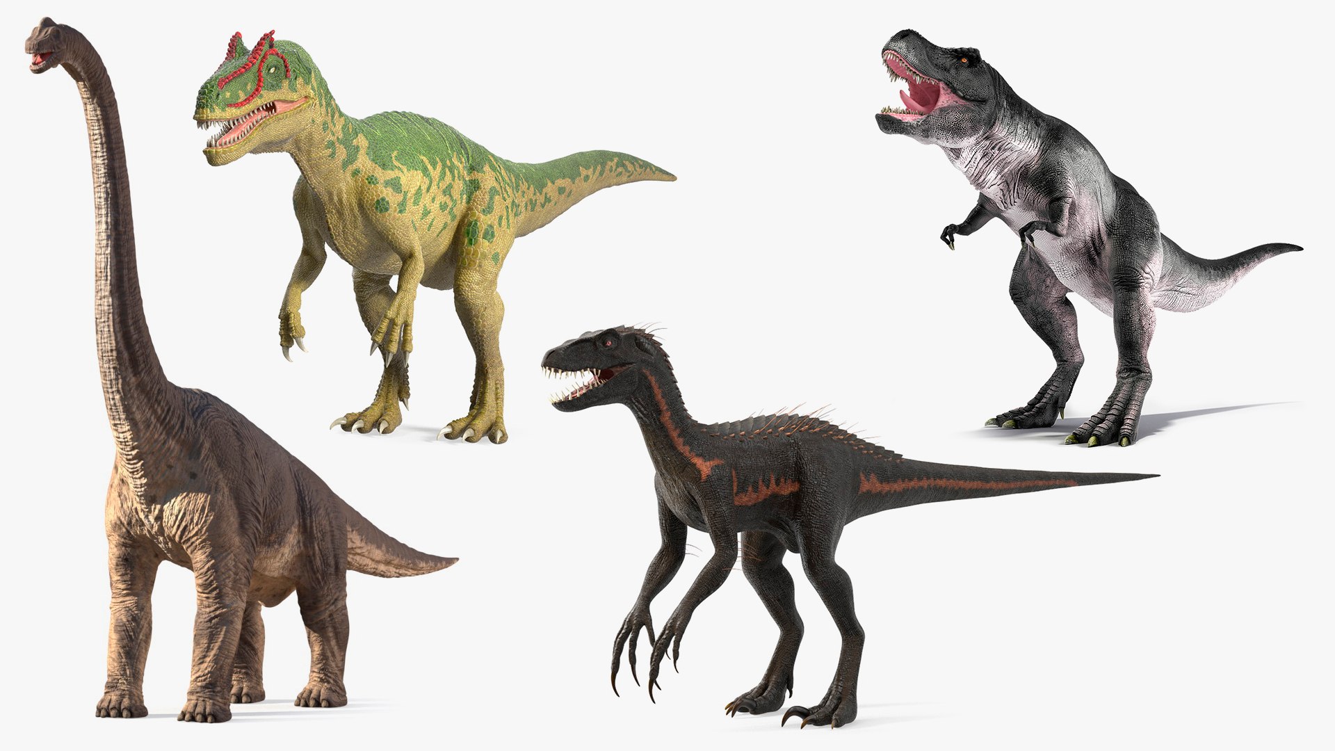 Rigged Dinosaurs Collection 7 for Cinema 4D 3D model https://p.turbosquid.com/ts-thumb/Lv/8lqj5S/cn/riggeddinosaurscollection73dsmodel001/jpg/1708337730/1920x1080/fit_q87/c92e40d9839a1687ebdf5497517b06514eefa993/riggeddinosaurscollection73dsmodel001.jpg