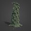 2021 PBR Colorado Spruce Collection - Picea Pungens