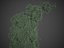 2021 PBR Colorado Spruce Collection - Picea Pungens