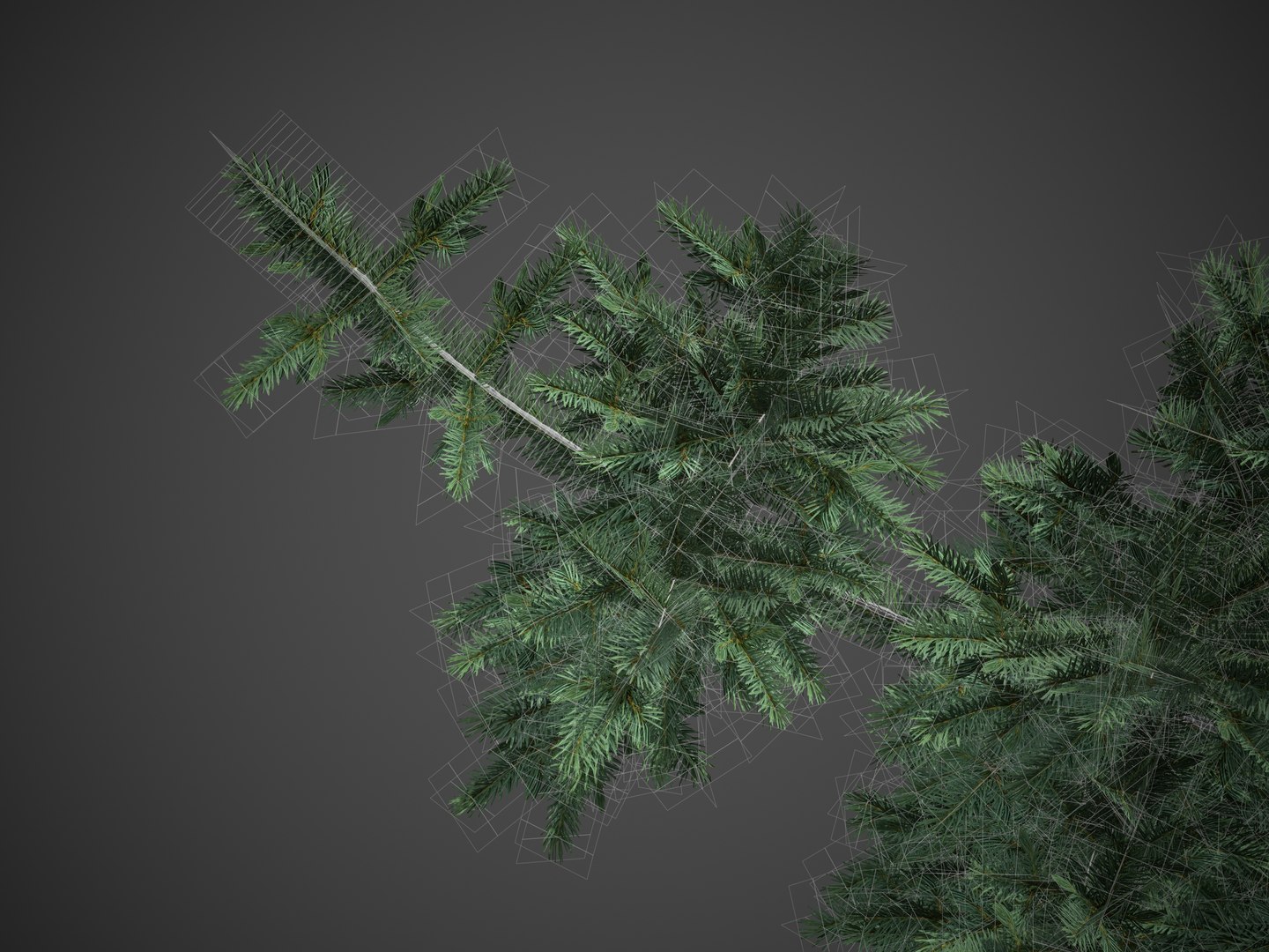2021 PBR Colorado Spruce Collection - Picea Pungens 3D https://p.turbosquid.com/ts-thumb/Lv/Cw8sVh/w1/screenshot008/jpg/1634679032/1920x1080/fit_q87/67205f03f3c204aaa67148b7540993153965db6d/screenshot008.jpg
