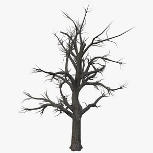 Dry Tree