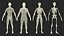 Realistische Ganzkörperanatomie des Mannes