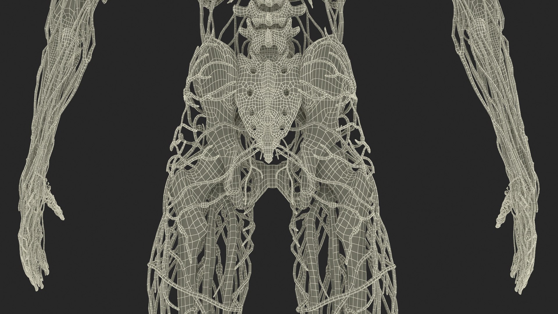 3D Realistic Male Full Body Anatomy https://p.turbosquid.com/ts-thumb/Lv/NpCSzj/NH/realistic_male_full_body_anatomy_050/jpg/1730729218/1920x1080/fit_q87/2dacfa43fa62dcd5d71d9d8b70f7d9278f6c7a32/realistic_male_full_body_anatomy_050.jpg